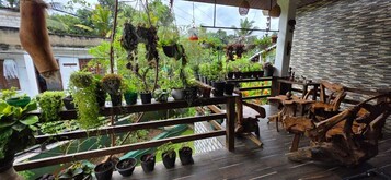 Una terraza de madera con plantas en macetas y muebles rústicos.