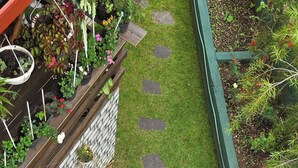 A rooftop garden with various plants, a small pond, and a stone pathway. - Kandy Comforts (Katugastota)