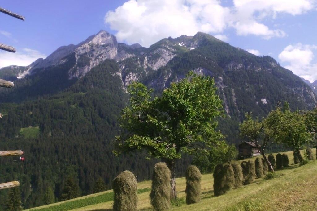A mountainous landscape with a clear sky, a tree in the foreground, and hay bales in the background.
