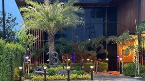 A modern building with a reflective water feature in front, surrounded by greenery and palm trees.