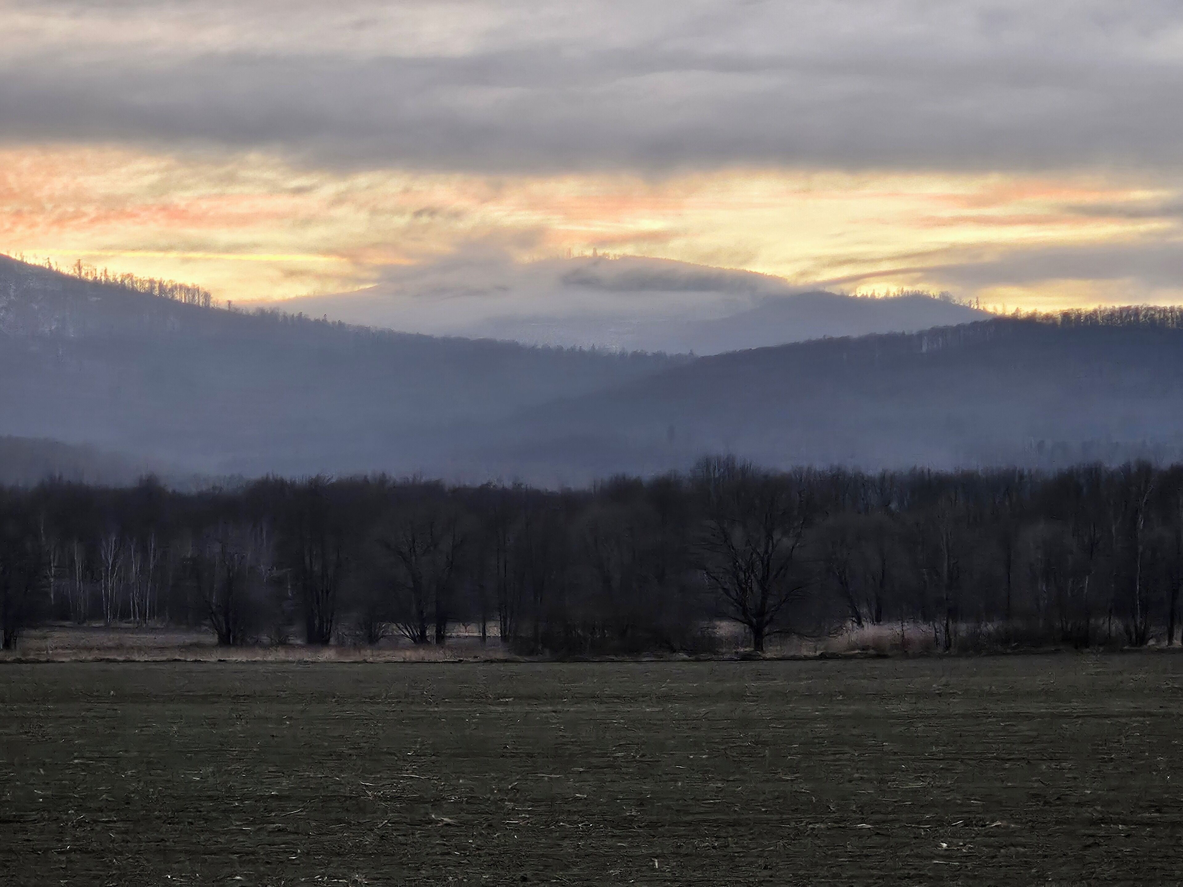 Eine weitläufige Wiese mit einem bewaldeten Hügel im Hintergrund.