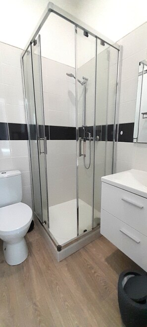 Shower, hair dryer, towels, toilet paper
