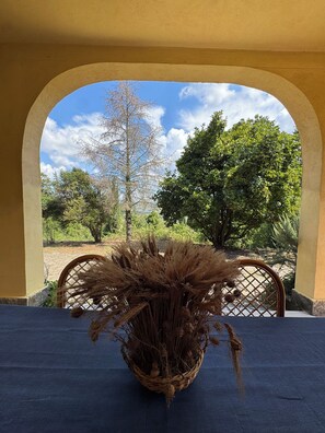 Terrace/patio