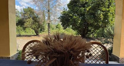 Baccano Escape, villa nestled in the green countryside of Campagnano di Roma