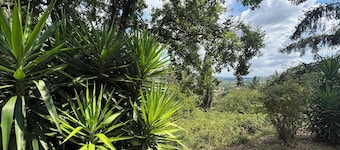 Baccano Escape, villa nestled in the green countryside of Campagnano di Roma