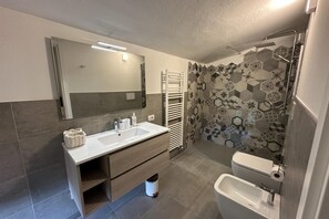 Shower, hair dryer, bidet, towels