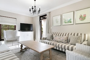 TV connectée, cheminée
