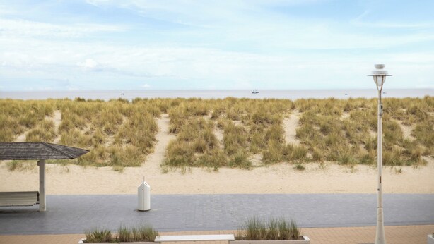Ein Strand mit befestigtem Gehweg, einer Lampe und einer Bank.