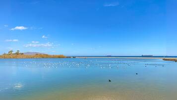Ubicación cercana a la playa