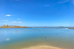 Nära stranden