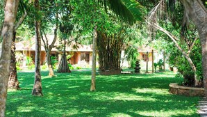 A lush garden with palm trees and a building in the background. - Kumudu Valley Resort (Nainamadama)