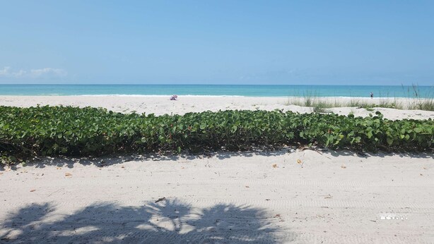 A beach with a concrete structure overhead, clear blue sky, and sparse vegetation.