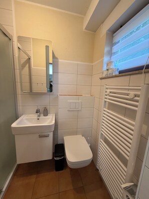 Shower, towels, soap, toilet paper