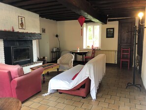 TV, fireplace, DVD player, books