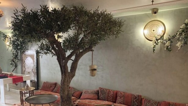 A cozy living room with a large tree centerpiece, a sofa with patterned cushions, and a dining area with a white table and chairs. - Les portes de l'orient spa 1 Riad around the castles. (Tours)