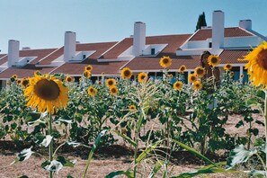 A sunflower field with a building in the background. - Calipo Hotel (Vila Vicosa)