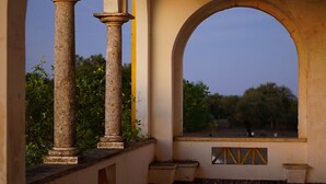 A stone balustrade with columns, an arched window, and a view of trees. - Calipo (Vila Vicosa)