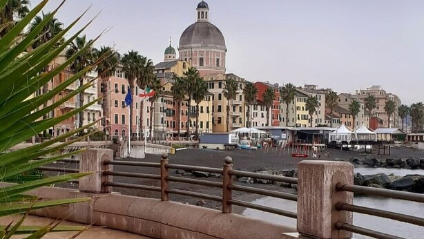 A waterfront promenade with a domed building in the background, palm trees, and a tiled walkway.