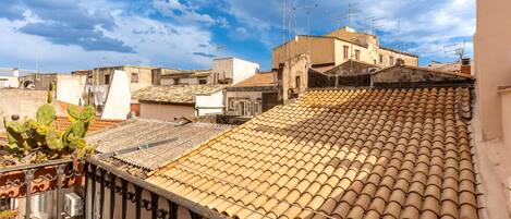 Vista desde la propiedad