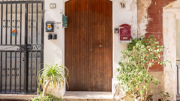 A wooden door with a metal gate, a mailbox, and a potted plant.