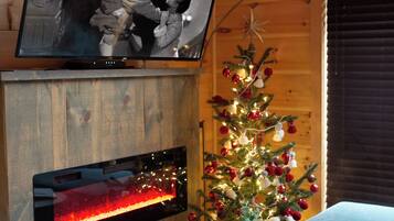 Smart TV, fireplace, video library, stereo