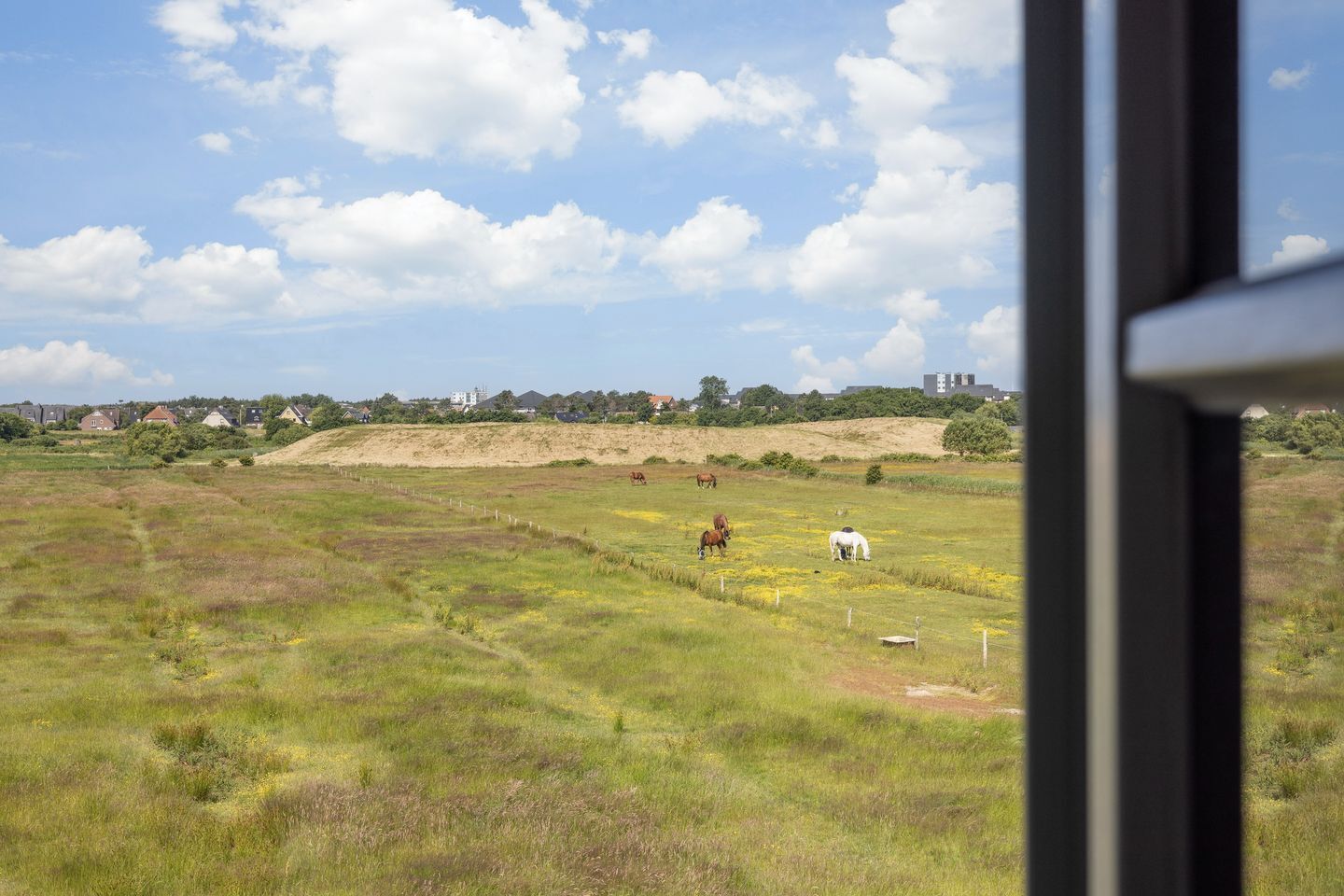 A view of a grassy field with horses grazing, a fence, and buildings in the background.