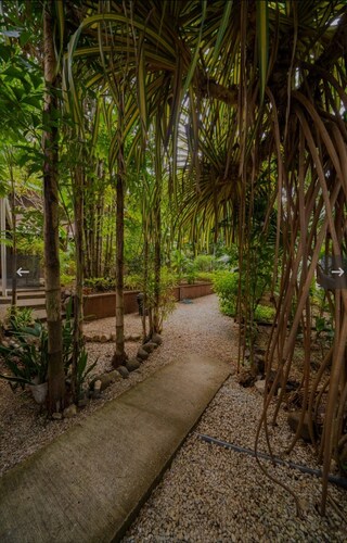 Cozy apartment fully equipped  in the heart of Tamarindo