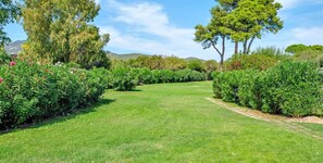 Property grounds - Porto Rotondo Mare 7 [Residence with Pool] (Porto Rotondo)