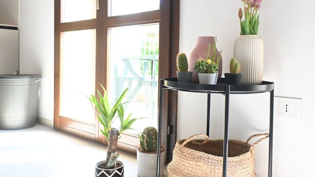 Ein Zimmer mit großem Fenster, einem schwarzen Metalltisch mit Topfpflanzen, einem gewebten Korb und einer weißen Wand.