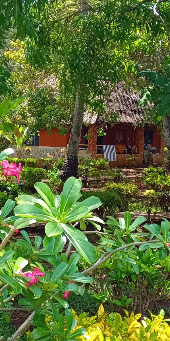 Classic Cabin, Balcony, Ocean View | Terrace/patio - Mango Lodge Msambweni (Msambweni)