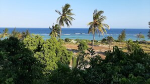 A tropical landscape with palm trees and a view of the ocean. - Mango Lodge Msambweni (Msambweni)