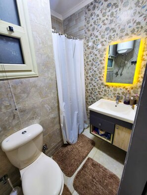 Shower, hair dryer, bidet, towels