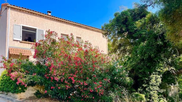 A two-story house with a beige facade, a tiled roof, and a small balcony. - House for 4, just 3 min from marina and beach (Sari-Solenzara)