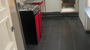 Een compacte keuken met een gasfornuis, een spoelbak en een klein aanrecht.