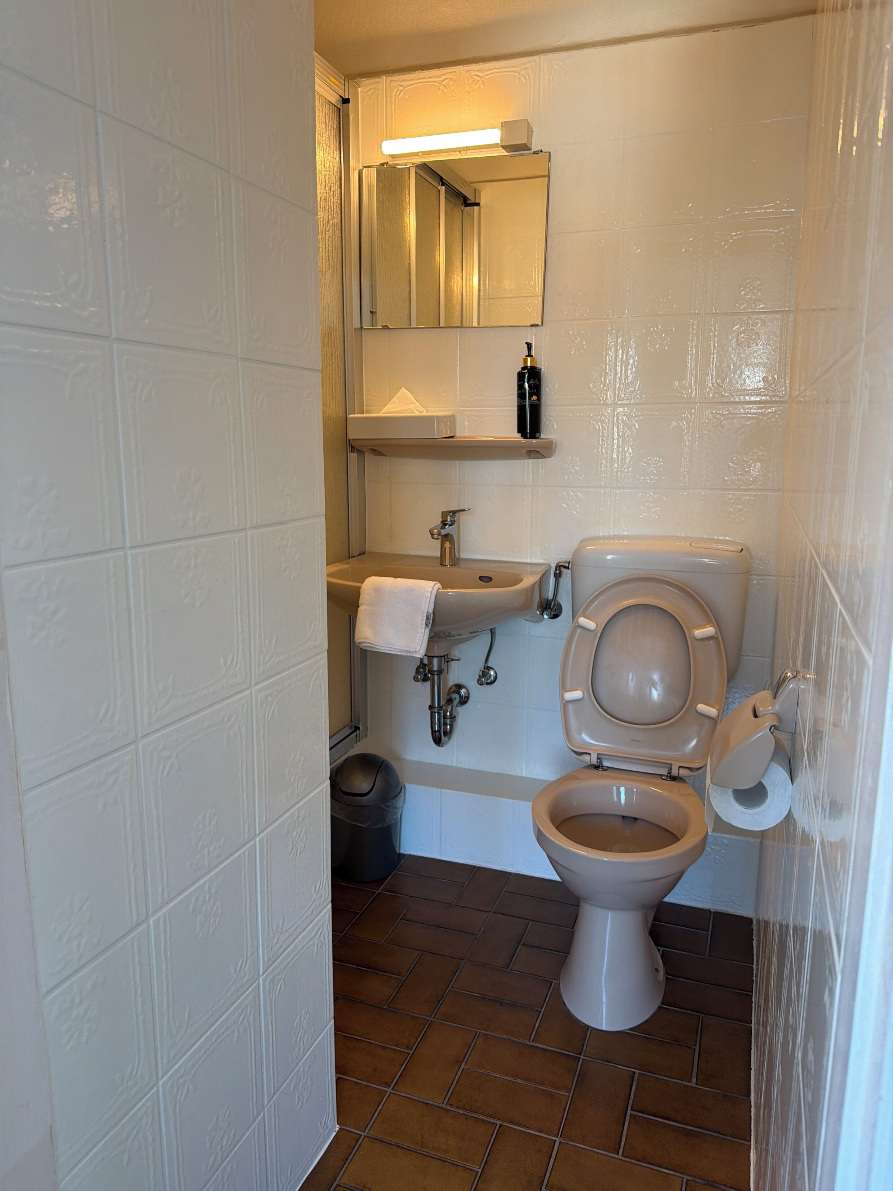 Een badkamer met toilet, wastafel en spiegel.
