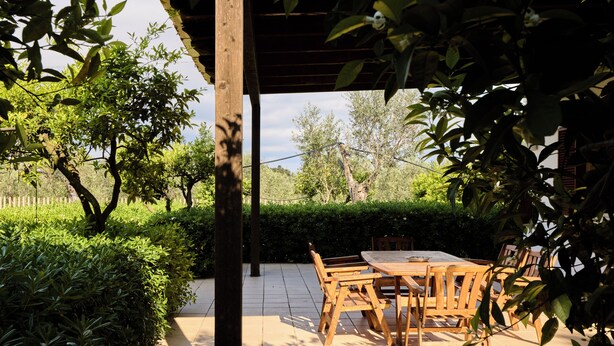 Un patio al aire libre con mesa y sillas de madera, rodeado de follaje y una pérgola de madera.
