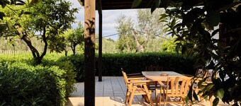 Olive Tree Villa