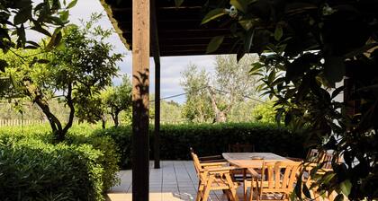 Olive Tree Villa