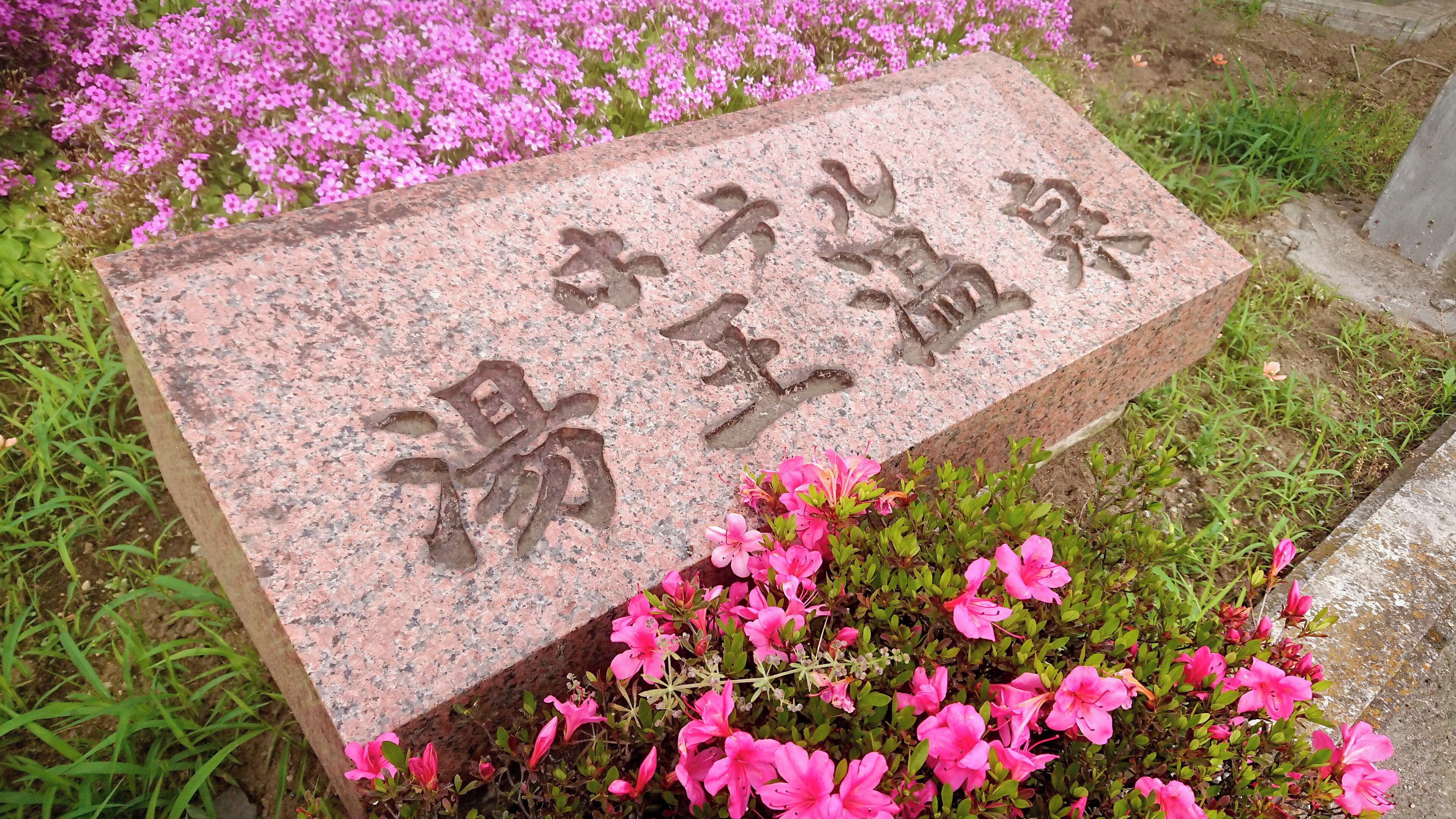 A granite headstone with inscriptions, surrounded by pink flowers and grass.