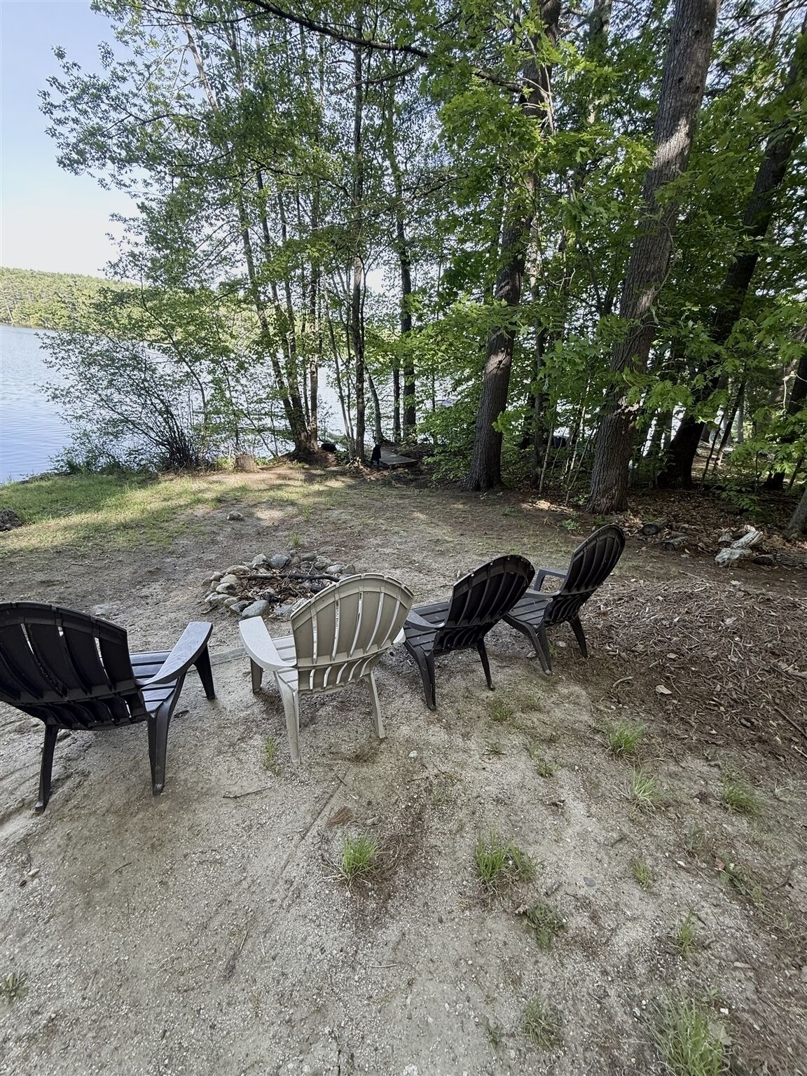 Un espace extérieur aménagé avec quatre chaises Adirondack et une table de pique-nique, le tout entouré d’arbres et bordé par un lac.