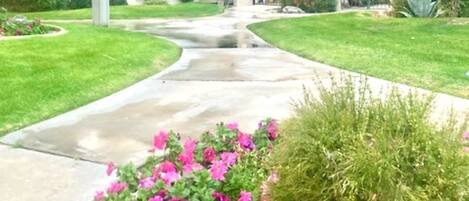 Property grounds