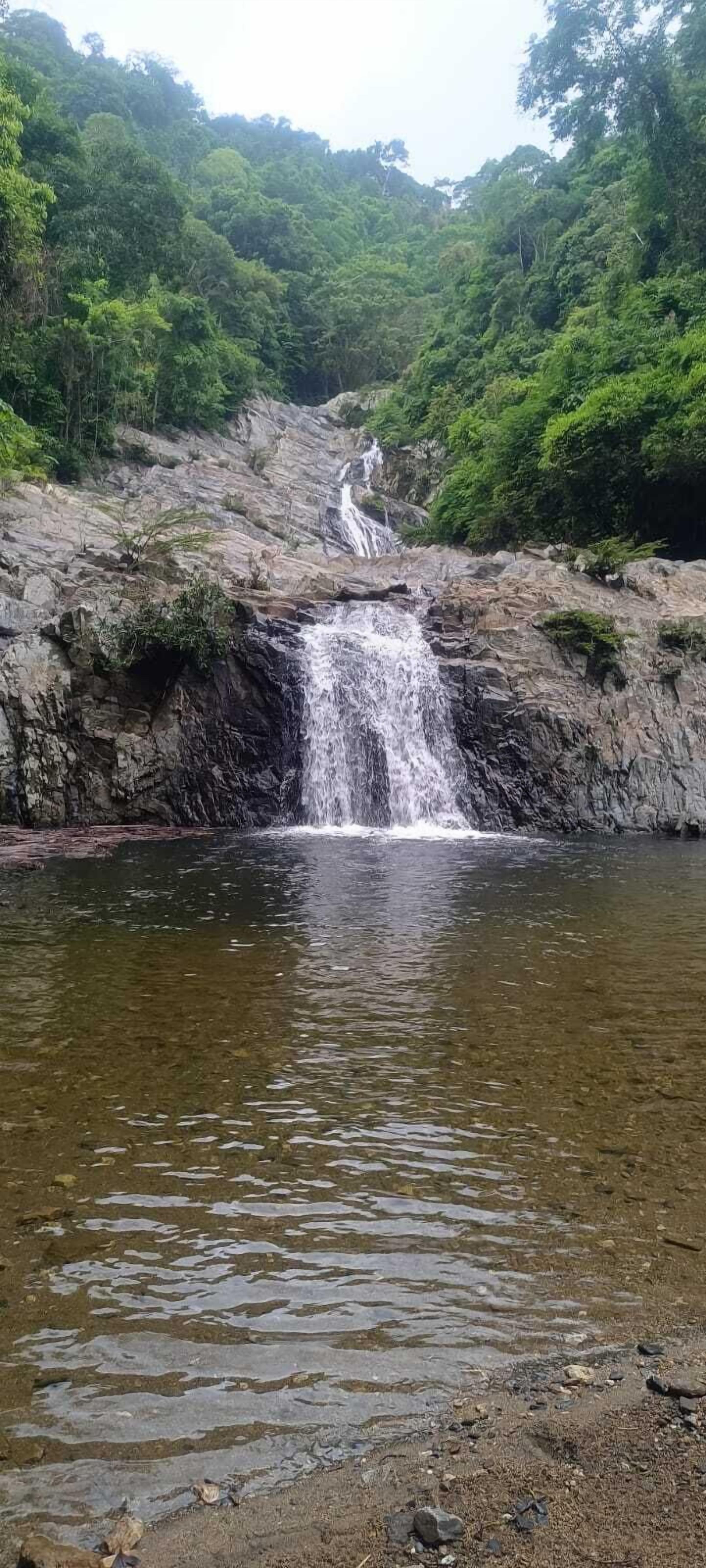 Una cascada vertiéndose en una poza cristalina rodeada de bosque denso.