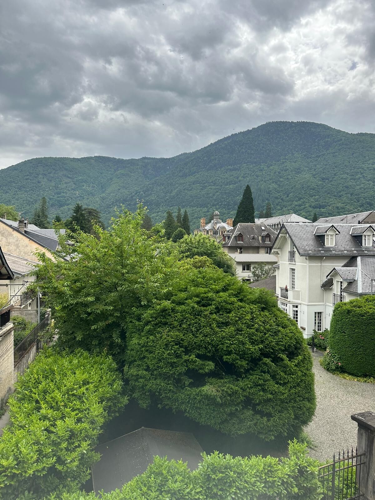 Una zona residencial con casas, un árbol grande y una montaña al fondo.