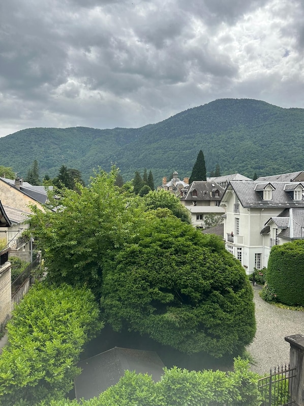 A residential area with houses, a large tree, and a mountain in the background.