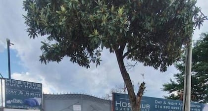HostHub Guest House