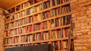 A cozy room with a bookshelf filled with books, a grey sofa, and an acoustic guitar. - Guest House Stories (Beja)