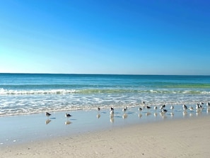 Beach nearby - Surf N Snooze-Central Destin-Pet Friendly (Destin)