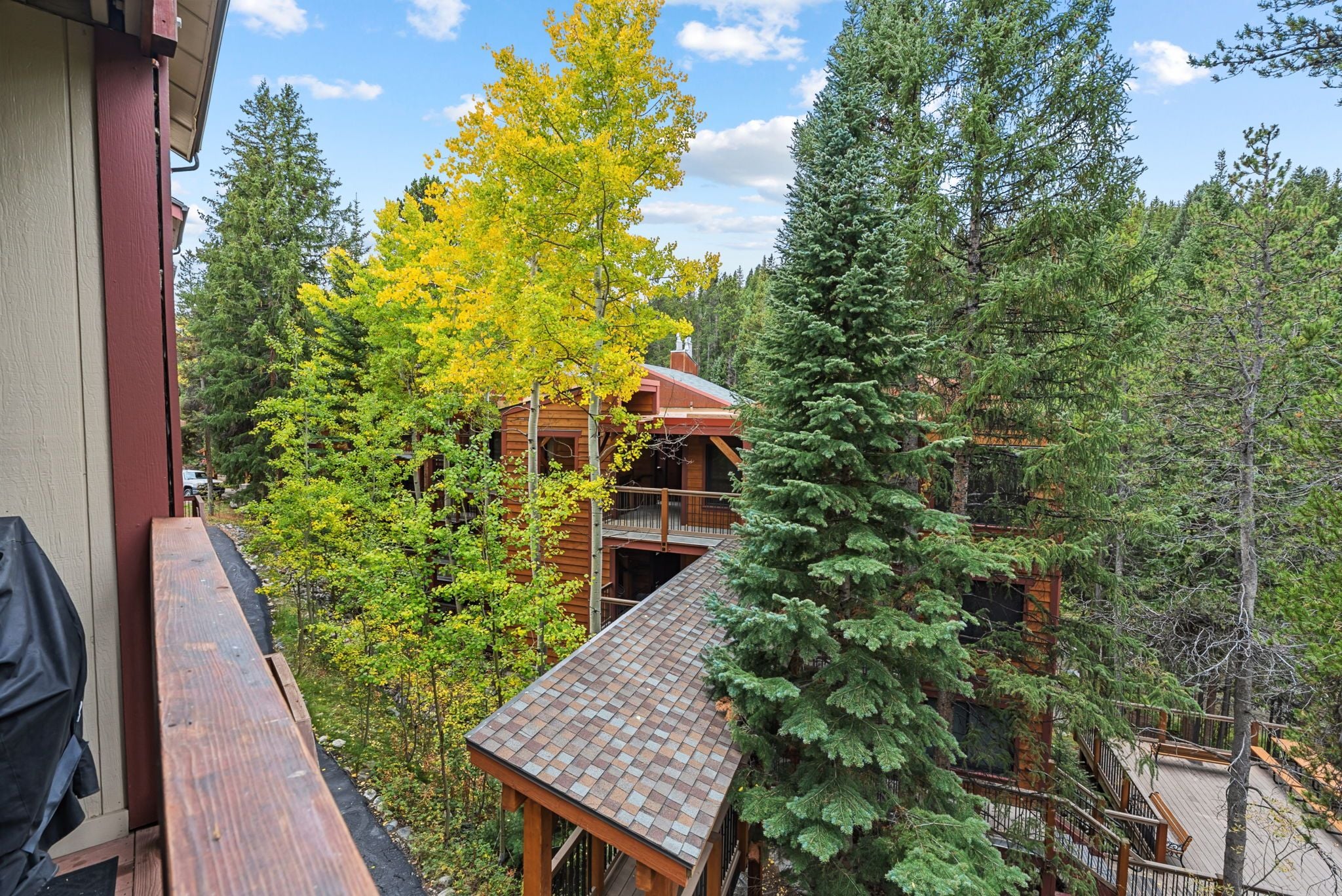 A wooden cabin with a deck, surrounded by dense forest and autumn foliage.