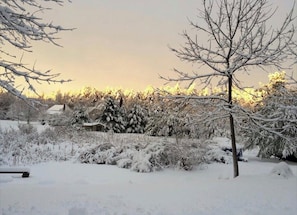 A snowy landscape with bare trees and a house in the background.