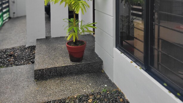 Un edificio moderno con una pianta in vaso su un gradino in cemento, un'ampia finestra e una porta che dà su un'altra stanza.